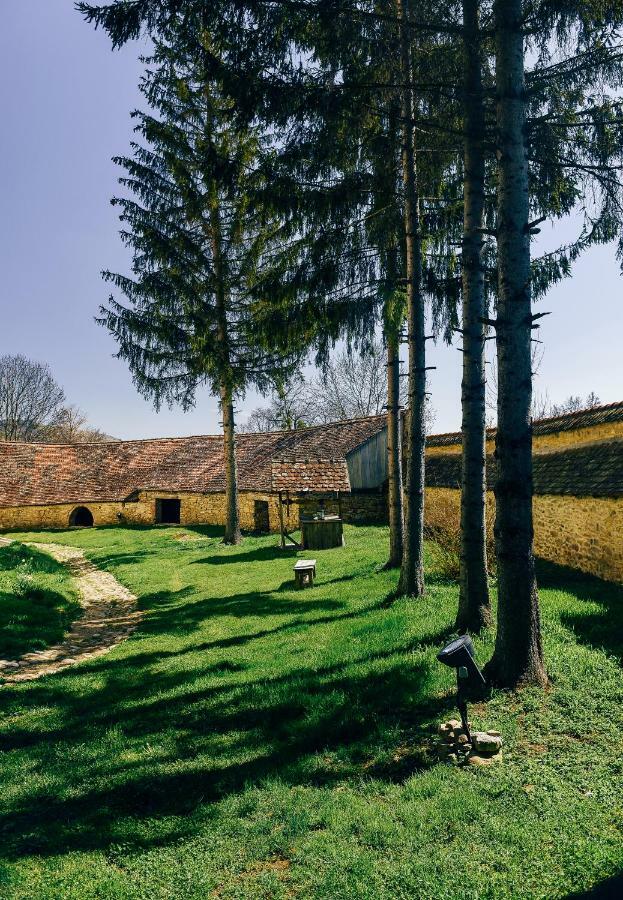 Casa Kraus Hotel Crit Buitenkant foto
